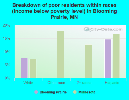 Breakdown of poor residents within races (income below poverty level) in Blooming Prairie, MN