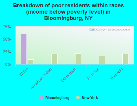 Breakdown of poor residents within races (income below poverty level) in Bloomingburg, NY