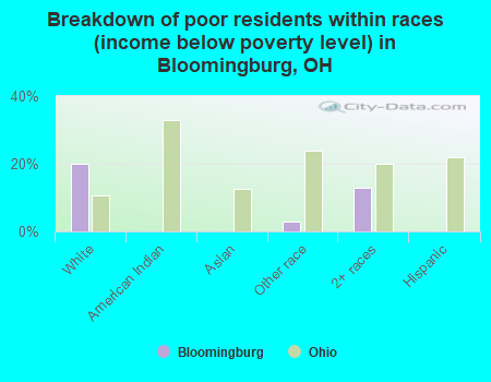Breakdown of poor residents within races (income below poverty level) in Bloomingburg, OH