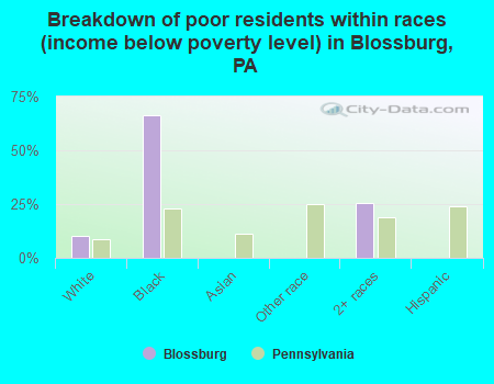 Breakdown of poor residents within races (income below poverty level) in Blossburg, PA