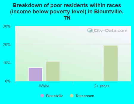 Breakdown of poor residents within races (income below poverty level) in Blountville, TN