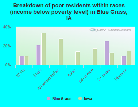 Breakdown of poor residents within races (income below poverty level) in Blue Grass, IA