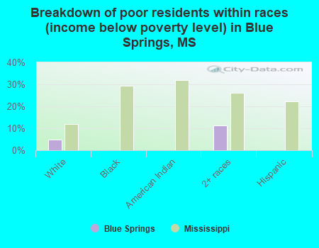 Breakdown of poor residents within races (income below poverty level) in Blue Springs, MS