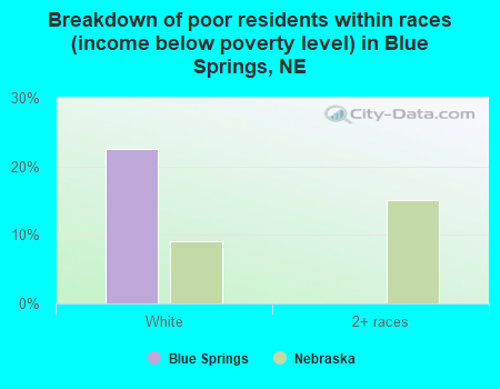 Breakdown of poor residents within races (income below poverty level) in Blue Springs, NE