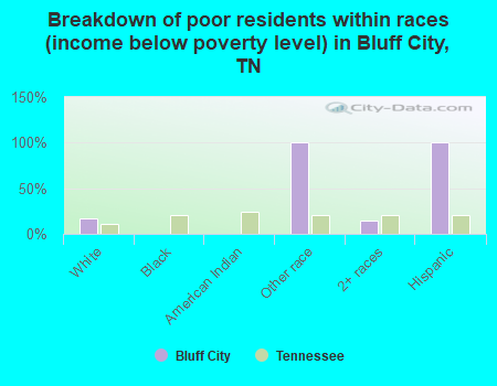 Breakdown of poor residents within races (income below poverty level) in Bluff City, TN