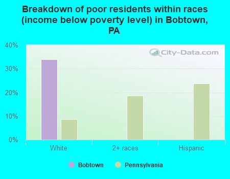 Breakdown of poor residents within races (income below poverty level) in Bobtown, PA