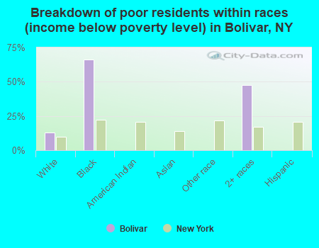 Breakdown of poor residents within races (income below poverty level) in Bolivar, NY