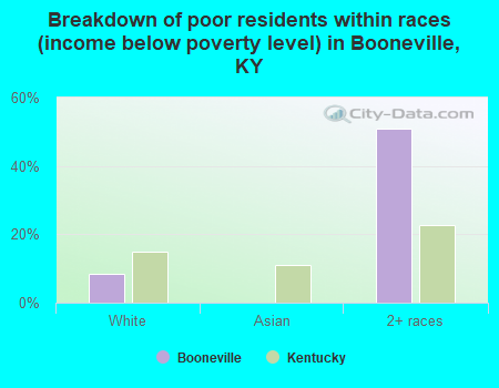 Breakdown of poor residents within races (income below poverty level) in Booneville, KY