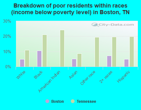 Breakdown of poor residents within races (income below poverty level) in Boston, TN