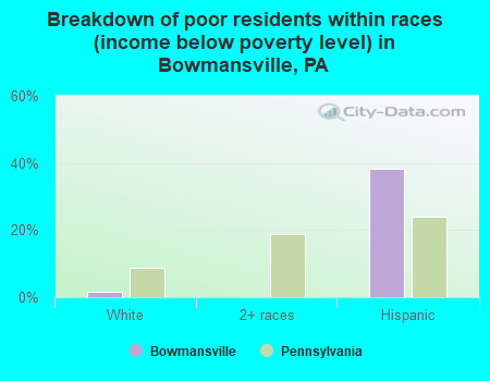 Breakdown of poor residents within races (income below poverty level) in Bowmansville, PA