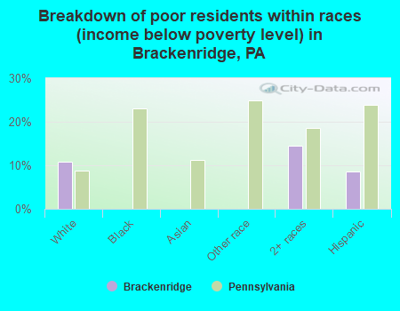 Breakdown of poor residents within races (income below poverty level) in Brackenridge, PA