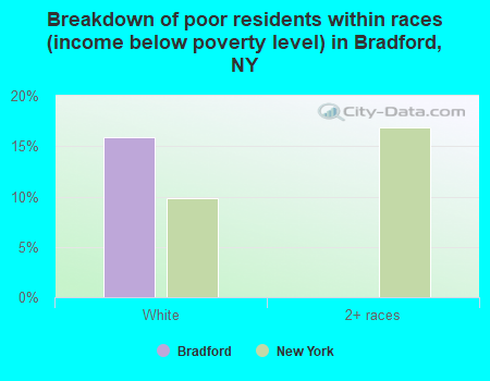 Breakdown of poor residents within races (income below poverty level) in Bradford, NY
