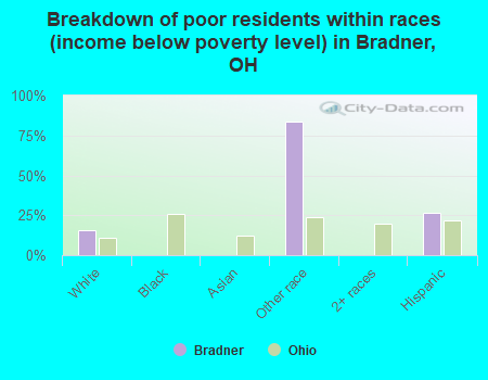 Breakdown of poor residents within races (income below poverty level) in Bradner, OH