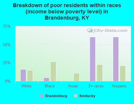 Breakdown of poor residents within races (income below poverty level) in Brandenburg, KY