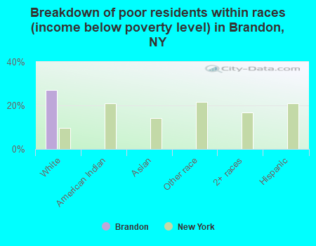 Breakdown of poor residents within races (income below poverty level) in Brandon, NY