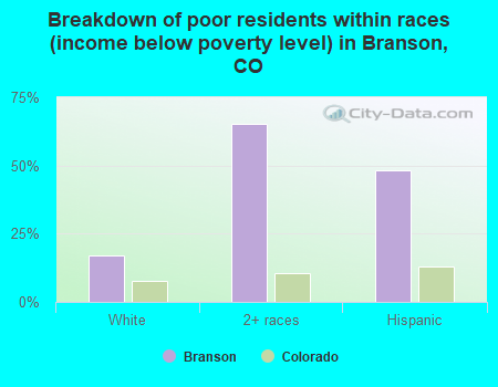 Breakdown of poor residents within races (income below poverty level) in Branson, CO