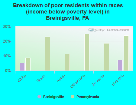 Breakdown of poor residents within races (income below poverty level) in Breinigsville, PA