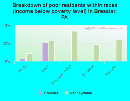 Breakdown of poor residents within races (income below poverty level) in Bressler, PA