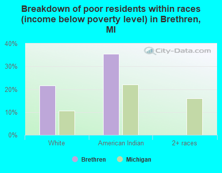 Breakdown of poor residents within races (income below poverty level) in Brethren, MI