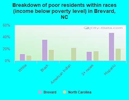 Breakdown of poor residents within races (income below poverty level) in Brevard, NC