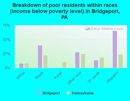 Breakdown of poor residents within races (income below poverty level) in Bridgeport, PA