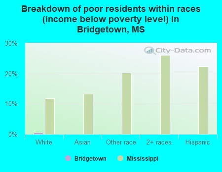 Breakdown of poor residents within races (income below poverty level) in Bridgetown, MS