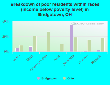 Breakdown of poor residents within races (income below poverty level) in Bridgetown, OH