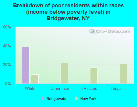 Breakdown of poor residents within races (income below poverty level) in Bridgewater, NY
