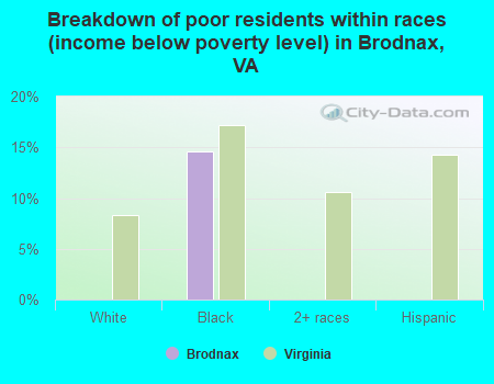 Breakdown of poor residents within races (income below poverty level) in Brodnax, VA