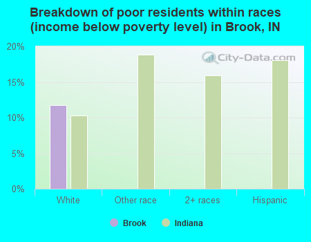 Breakdown of poor residents within races (income below poverty level) in Brook, IN