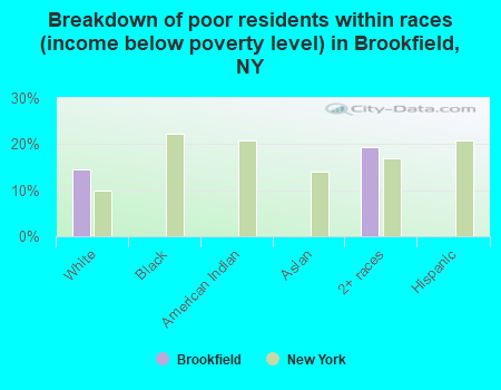Breakdown of poor residents within races (income below poverty level) in Brookfield, NY