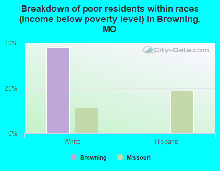 Breakdown of poor residents within races (income below poverty level) in Browning, MO