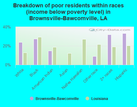 Breakdown of poor residents within races (income below poverty level) in Brownsville-Bawcomville, LA