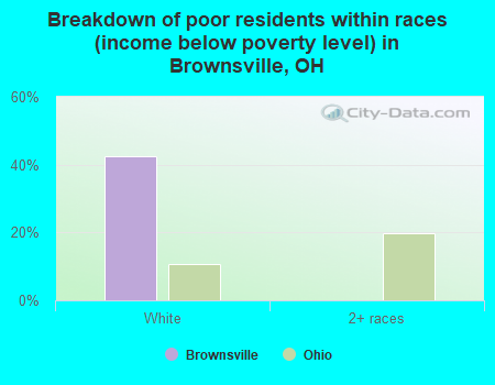 Breakdown of poor residents within races (income below poverty level) in Brownsville, OH