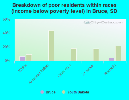 Breakdown of poor residents within races (income below poverty level) in Bruce, SD