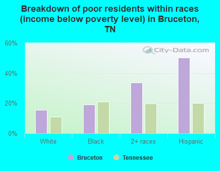 Breakdown of poor residents within races (income below poverty level) in Bruceton, TN