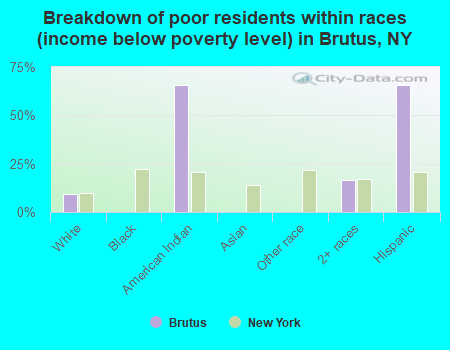 Breakdown of poor residents within races (income below poverty level) in Brutus, NY