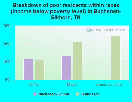 Breakdown of poor residents within races (income below poverty level) in Buchanan-Elkhorn, TN