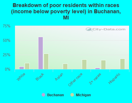 Breakdown of poor residents within races (income below poverty level) in Buchanan, MI