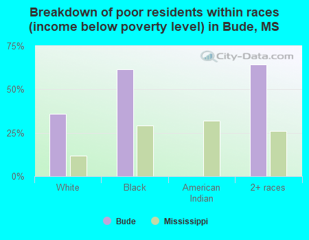 Breakdown of poor residents within races (income below poverty level) in Bude, MS