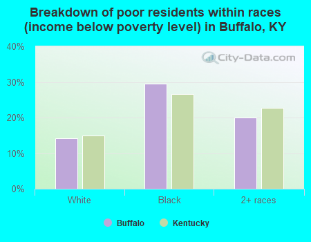 Breakdown of poor residents within races (income below poverty level) in Buffalo, KY