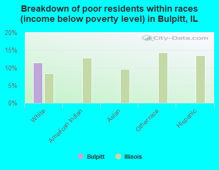 Breakdown of poor residents within races (income below poverty level) in Bulpitt, IL