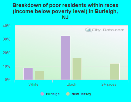 Breakdown of poor residents within races (income below poverty level) in Burleigh, NJ