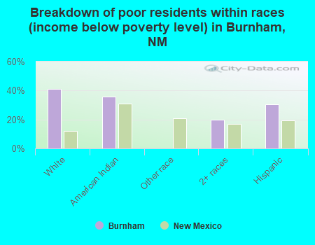 Breakdown of poor residents within races (income below poverty level) in Burnham, NM