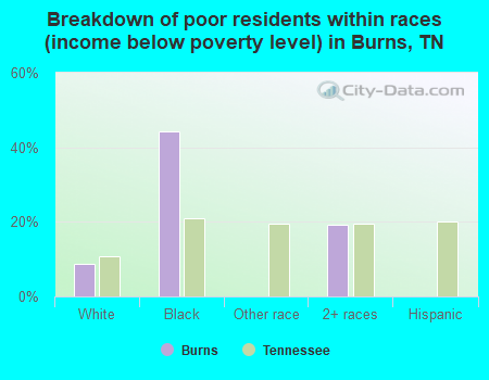 Breakdown of poor residents within races (income below poverty level) in Burns, TN