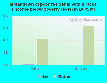 Breakdown of poor residents within races (income below poverty level) in Burt, MI