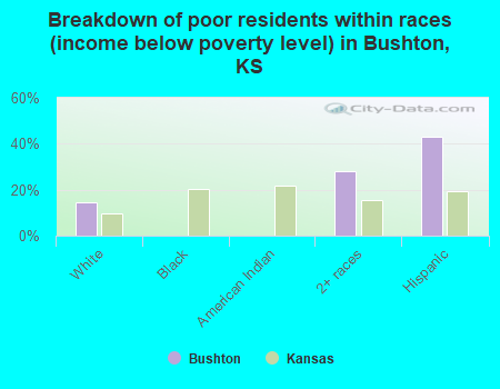 Breakdown of poor residents within races (income below poverty level) in Bushton, KS