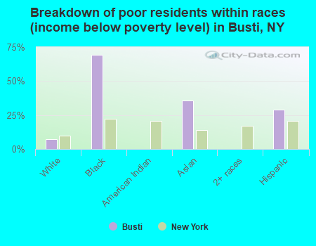 Breakdown of poor residents within races (income below poverty level) in Busti, NY