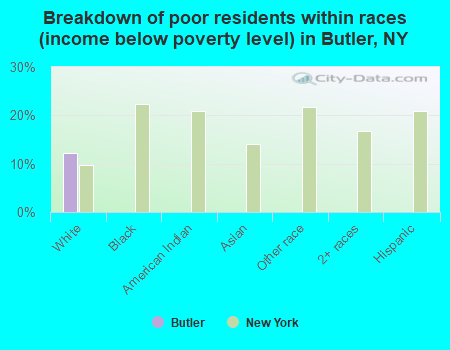 Breakdown of poor residents within races (income below poverty level) in Butler, NY