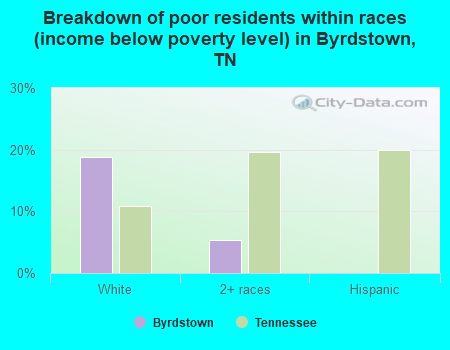 Breakdown of poor residents within races (income below poverty level) in Byrdstown, TN